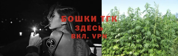 хмурый Бородино