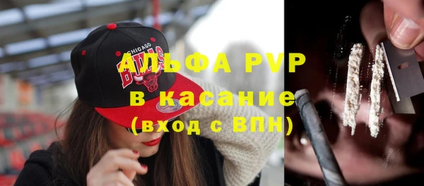 хмурый Бородино