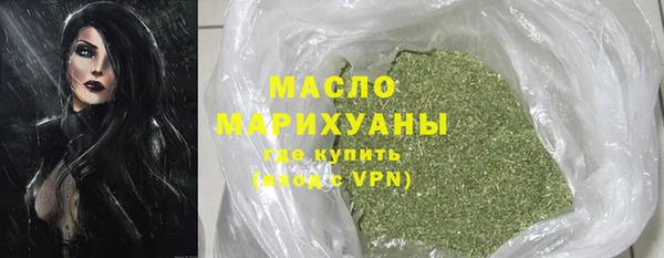 хмурый Бородино